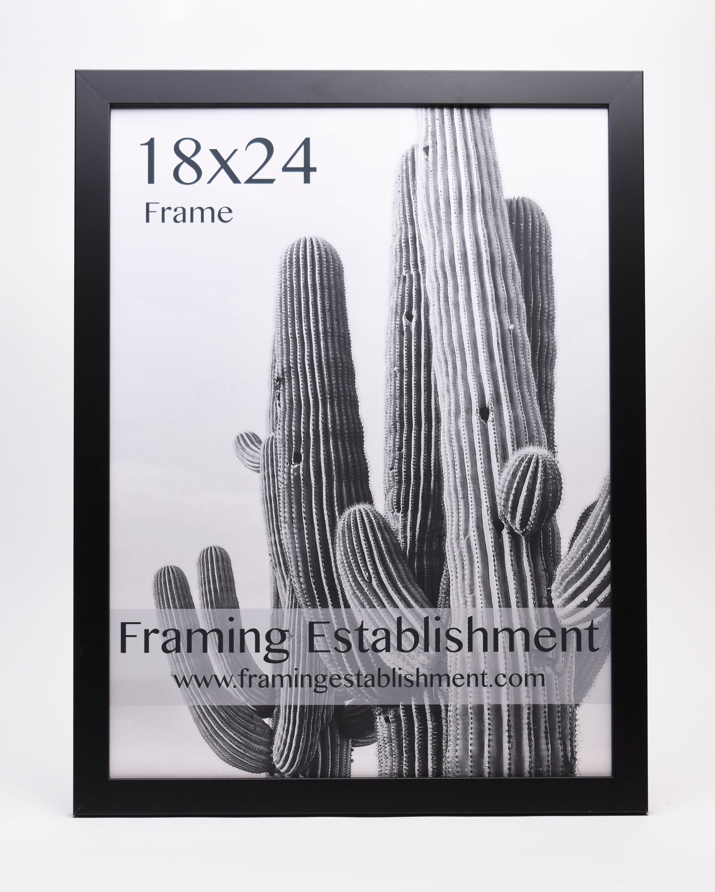 1 1/4" Wide Black Wall Frame