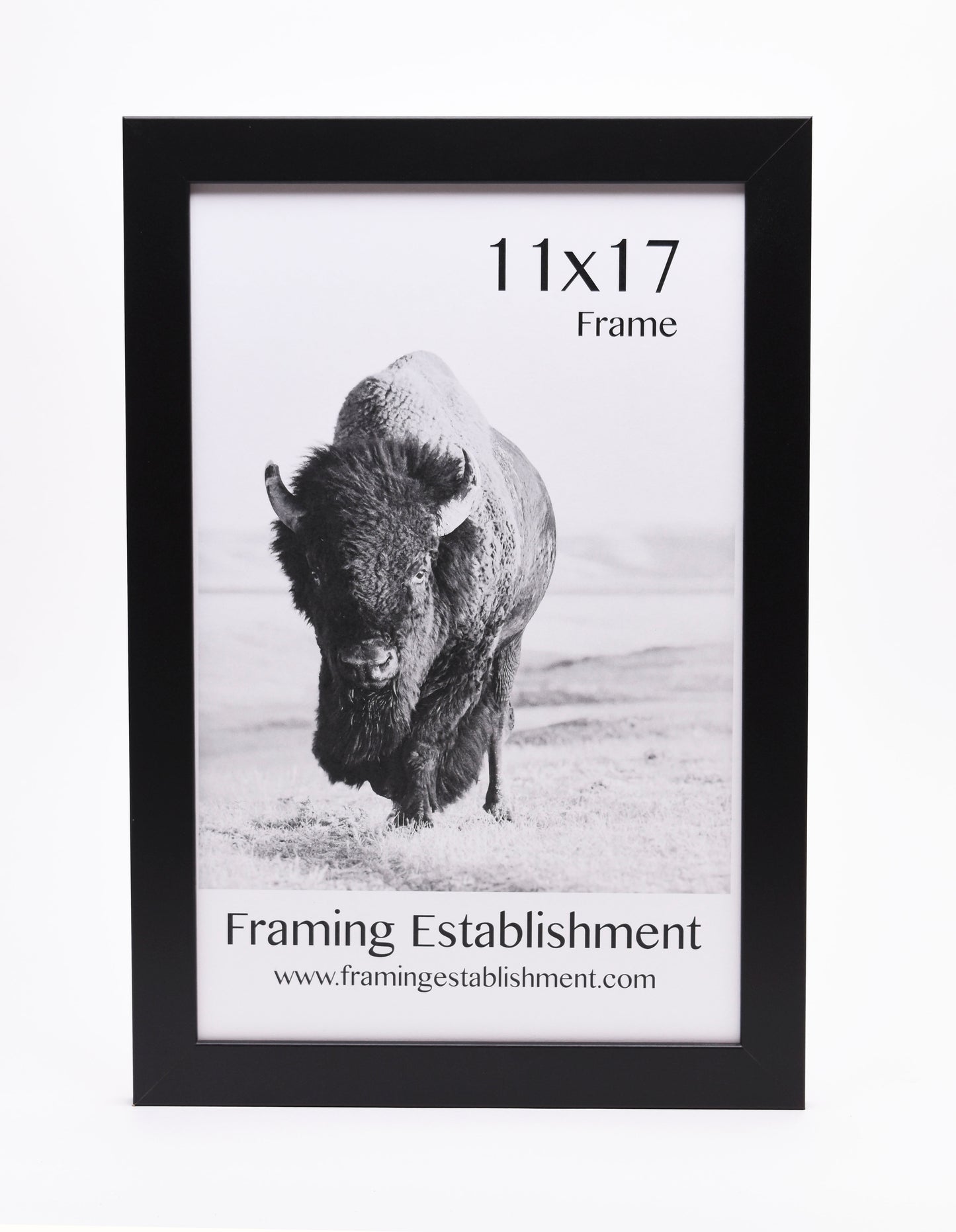 1 1/4" Wide Black Wall Frame