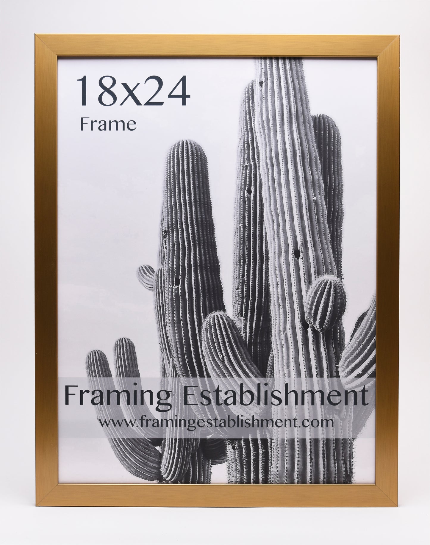 1 1/4" Warm Gold Wall Frame