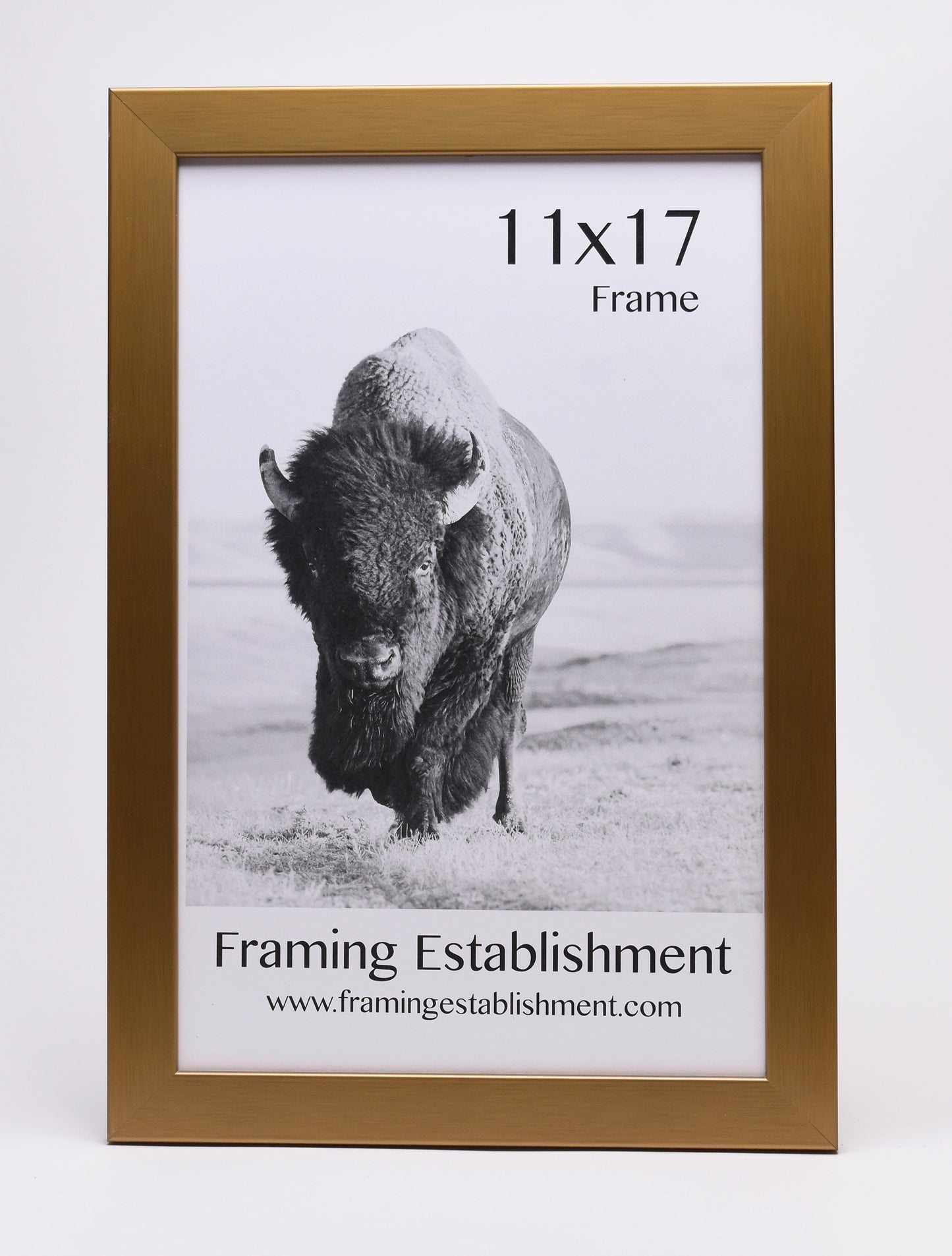 1 1/4" Warm Gold Wall Frame