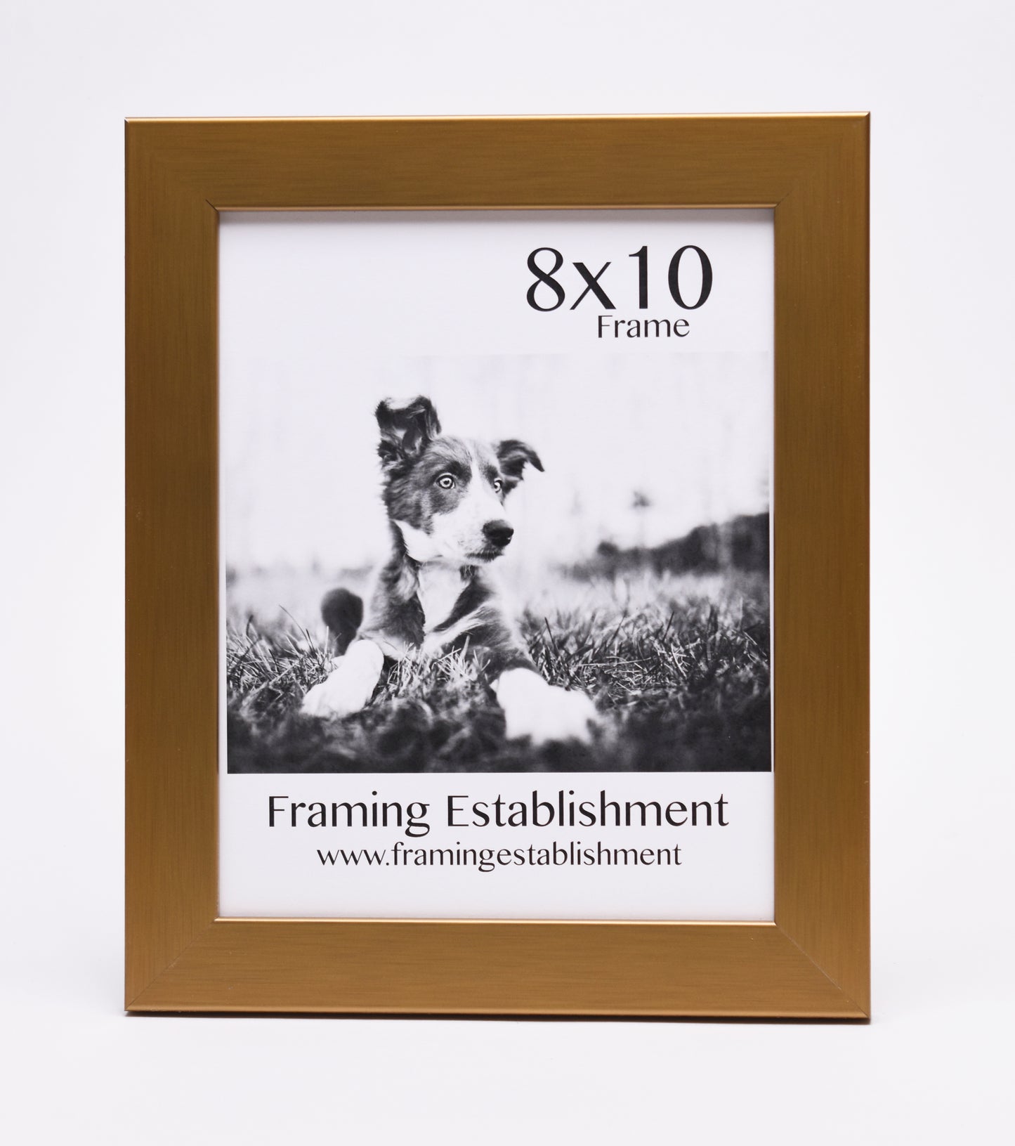 1 1/4" Warm Gold Wall Frame