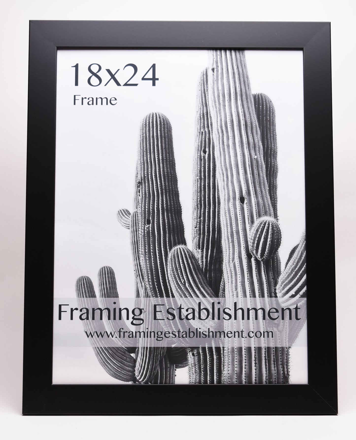 2" Wide Black Wall Frame