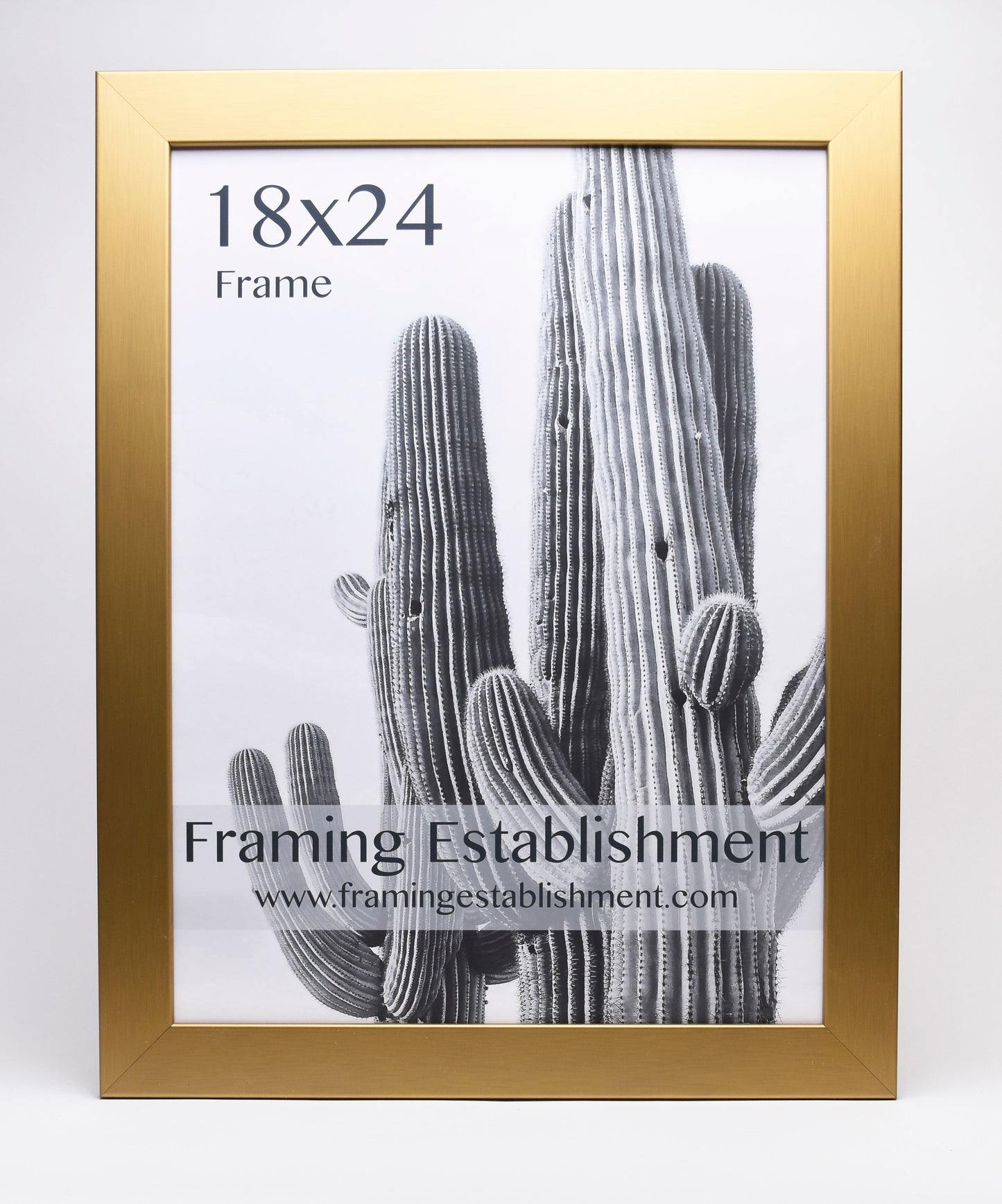 2" Warm Gold Wall Frame