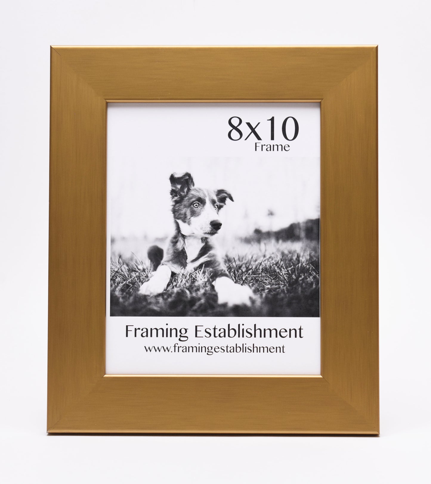 2" Warm Gold Wall Frame